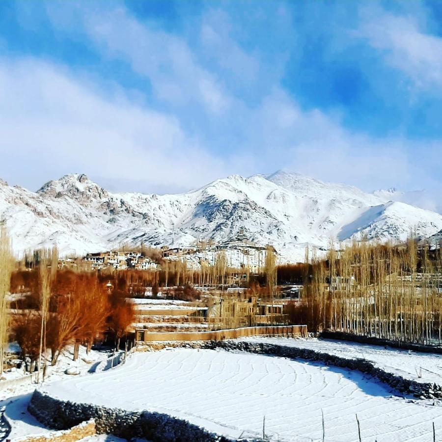 Ladakh Country Inn Leh Buitenkant foto